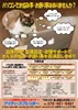 flyer-201707